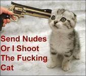 1989 Ford Bronco - A kitten is threatened by a gun, with a message demanding nudes.