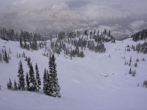1997 Ford Probe - Winter mountain scene with snow-covered pine trees and cloudy skies. Supermotors.net logo visible.