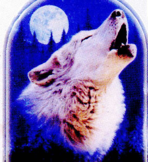 1978 Ford Bronco - Graphic of a wolf howling at the moon, with website text at the bottom.