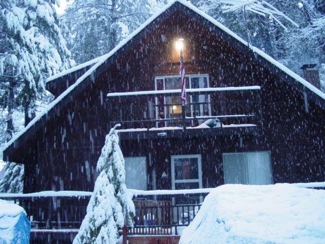 dark wooden cabin with snow falling, trees covered in snow, and a snow-covered object in the foreground