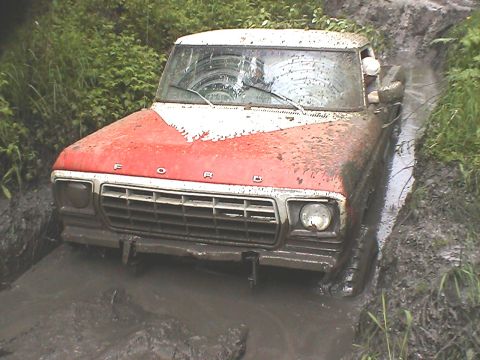 1979 Ford F-150 photo