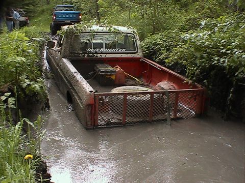 1979 Ford F-150 photo