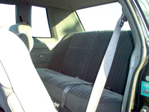 1985 Ford LTD Crown Victoria - Interior view of a car's rear seat with a seatbelt and a sticker on the door jamb.