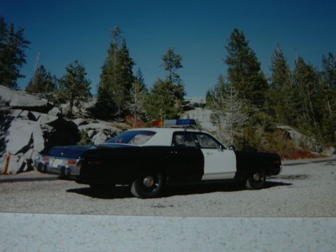 1991 Ford Crown Victoria - This police car, likely a 1977 model, is parked on a gravel road with trees and rocks in the background.