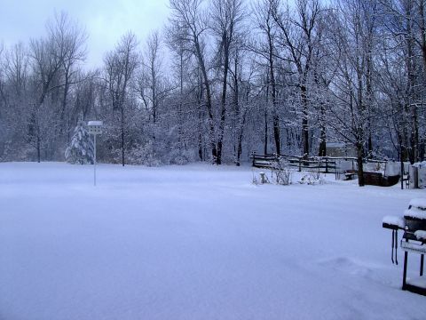 1986 Ford Bronco - A winter scene shows a snow-covered backyard with bare trees and a birdhouse on a pole.