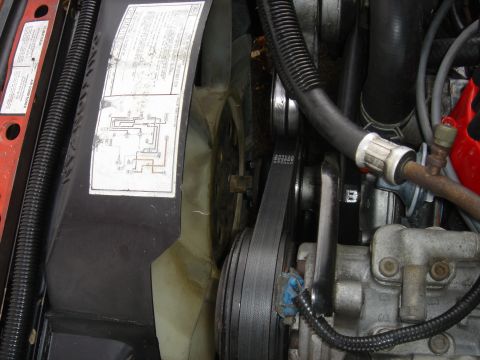 1986 Ford Mustang - Engine bay detail with fan, belts, and a wiring diagram sticker visible.
