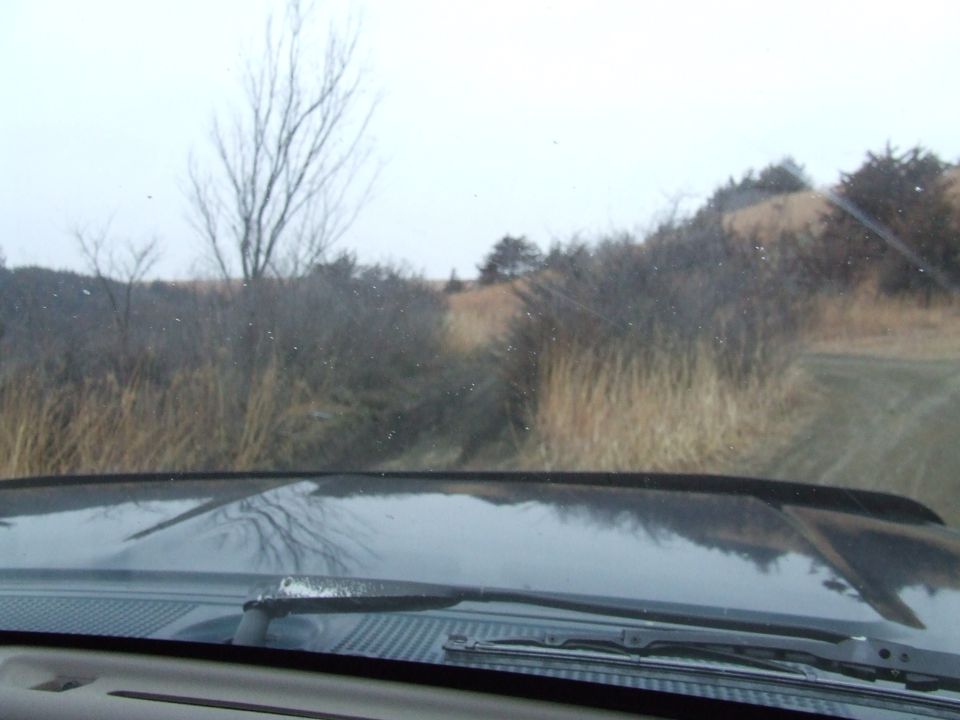 View from inside a vehicle looking out at a dirt road through dry grass and trees