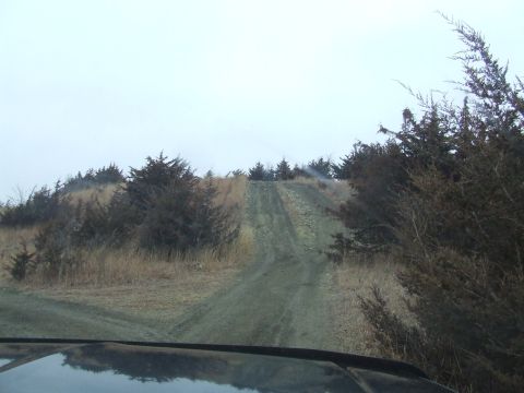 1994 Ford Bronco - A dirt road winds uphill through a landscape of dry grass and scattered trees under an overcast sky.