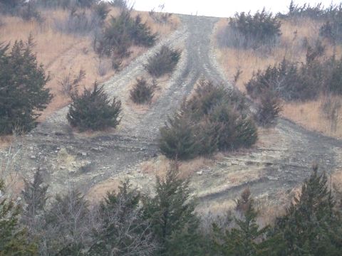 1994 Ford Bronco - A rough, unpaved road ascends a dry, grassy hillside dotted with evergreen trees.