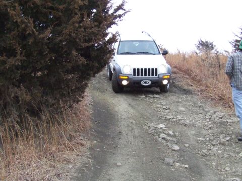 1994 Ford Bronco - A white SUV drives on a rocky dirt path next to dry grass and a tree.