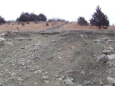 1994 Ford Bronco - A desolate, rocky terrain with a winding dirt path leading uphill through dry grass and scattered trees.