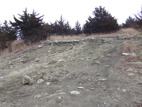 1994 Ford Bronco - A dirt hill with scattered rocks and dry grass, bordered by evergreen trees.