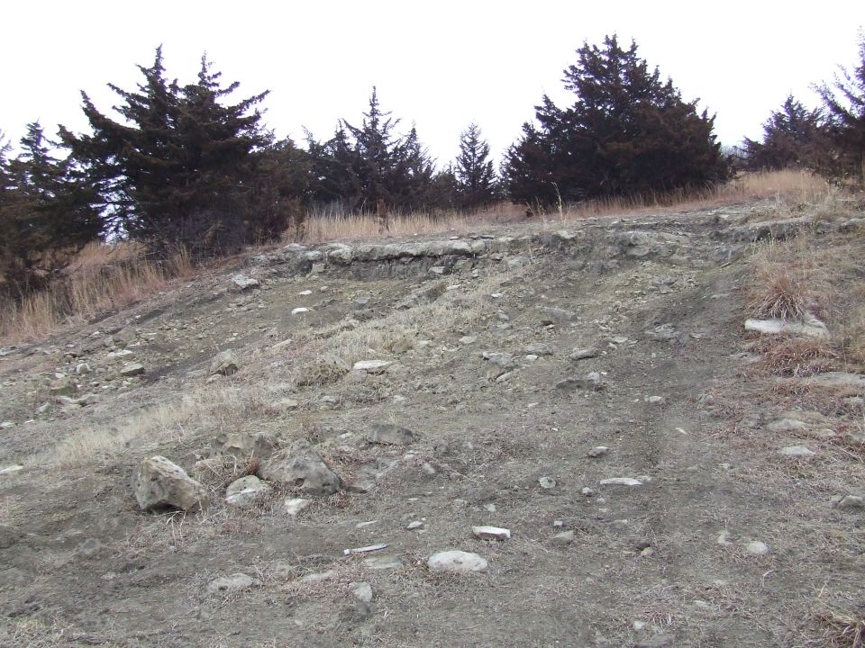 Dirt hill with sparse grass and rocks, lined with evergreen trees under a white sky