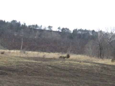 1994 Ford Bronco - A desolate landscape with a muddy foreground and a wooded hill under a pale sky.