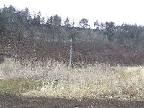 1994 Ford Bronco - A desolate landscape under an overcast sky, dry grass and bare trees on a hillside.