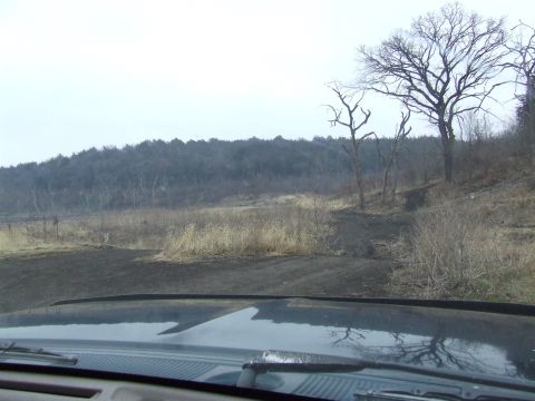 1994 Ford Bronco - Driving on a dirt road through a wooded landscape on an overcast day.