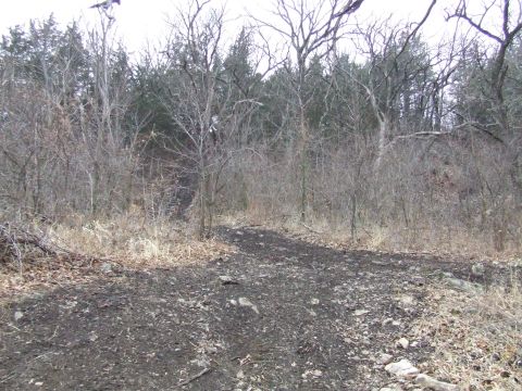 1994 Ford Bronco - A dirt path winds through a desolate, wooded landscape during daytime.