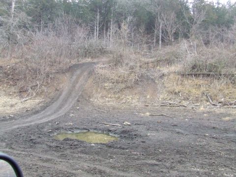 1994 Ford Bronco - A muddy dirt road winds through a wooded area with bare trees and puddles on the ground.