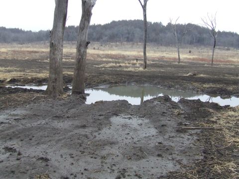 1994 Ford Bronco - A muddy field with several puddles and dead trees, suggesting a wet or recently flooded area.