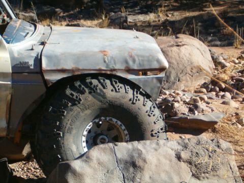 1985 Ford Bronco - eric5