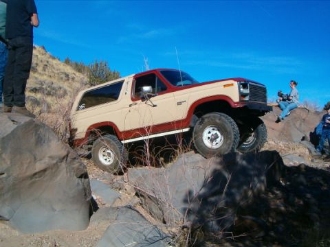 1985 Ford Bronco - wayno1