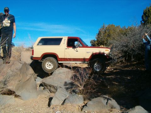 1985 Ford Bronco - wayno2