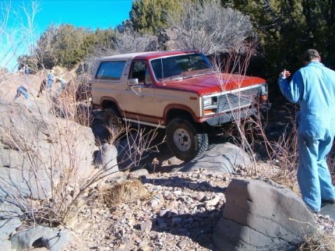 1985 Ford Bronco - wayno3