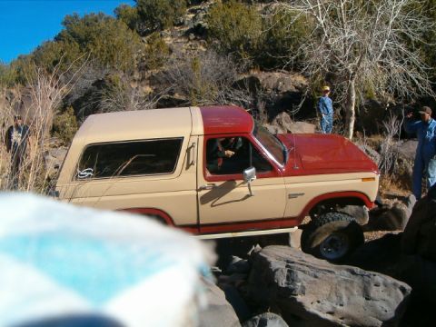 1985 Ford Bronco - wayno4