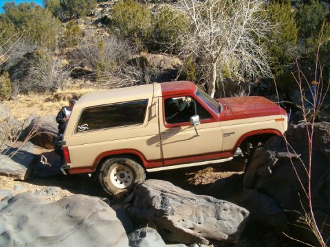 1985 Ford Bronco - wayno5