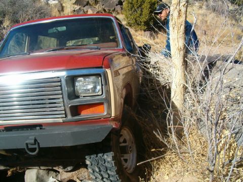 1985 Ford Bronco - wayno6
