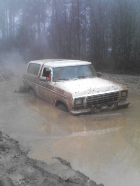 1978 Ford Bronco - This is what getting stuck looks like