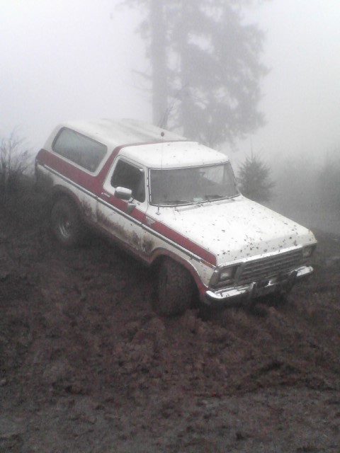 1978 Ford Bronco - Muddy 1978 Ford Bronco with red stripe stuck in a muddy area with trees in the background.