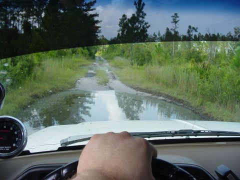 1989 Ford Bronco - Driving through a flooded dirt road with trees and vegetation on either side.