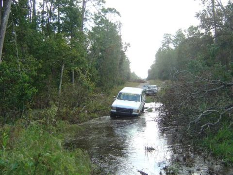 1989 Ford Bronco - A convoy of Ford Broncos navigates a waterlogged path through a dense forest.