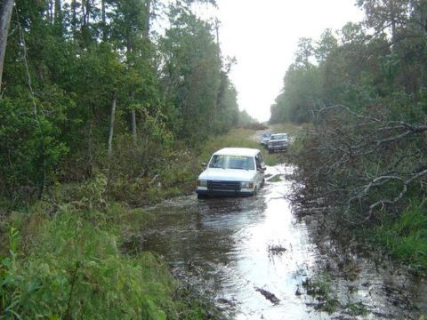 1989 Ford Bronco - Multiple SUVs navigate a flooded path on a wooded trail.