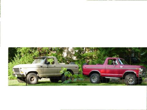 1978 Ford Bronco photo
