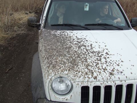 1994 Ford Bronco - A white Jeep Liberty is covered in mud after driving off-road.