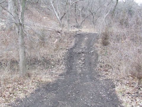 1994 Ford Bronco - A dirt path ascends a hill in a forest during the off-season, with a website logo visible at the bottom.