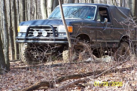 1979 Ford Bronco - Ford Bronco navigates a wooded trail, its off-road tires gripping the uneven terrain.