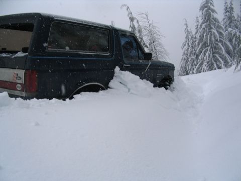 1987 Ford Bronco - Ford Bronco buried in snow, with trees covered in snow in the background.