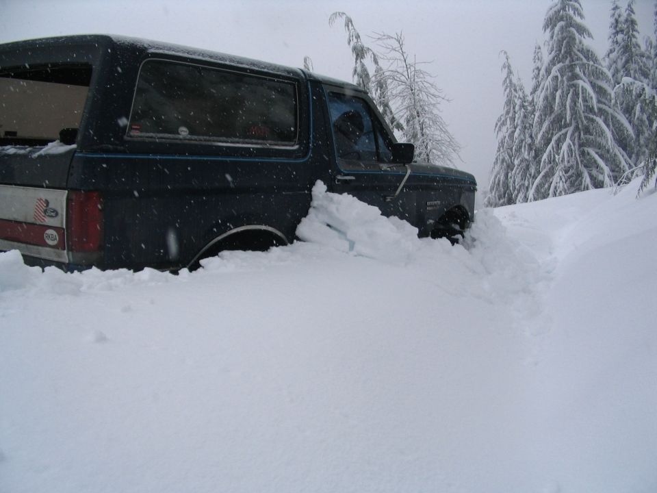 Dark blue Ford Bronco buried in deep snow among snow-covered conifers during a snowfall