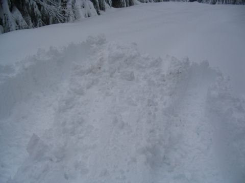 1987 Ford Bronco - end of the line tracks, had to turn around due to clutch issues, boggers did great! no tracion issues.
