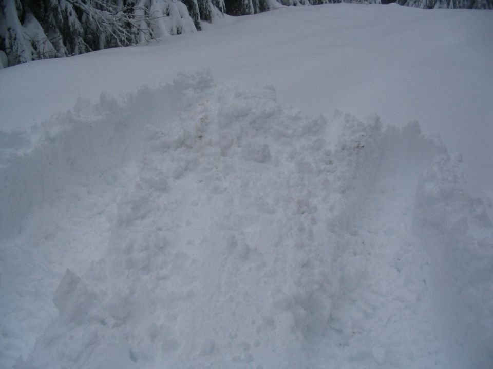 end of the line tracks, had to turn around due to clutch issues, boggers did great! no tracion issues.
