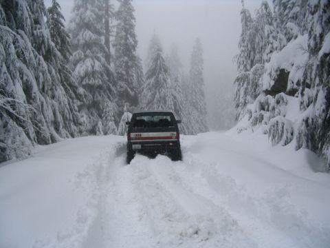 1987 Ford Bronco - A truck navigates a snow-covered road surrounded by snow-laden pine trees.