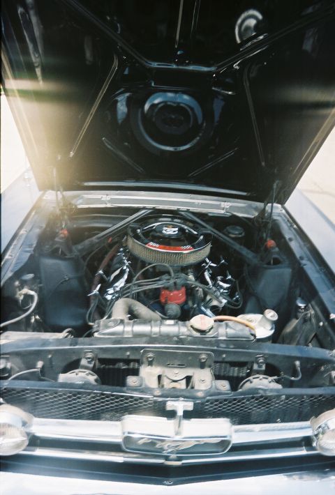 1965 Ford Mustang photo