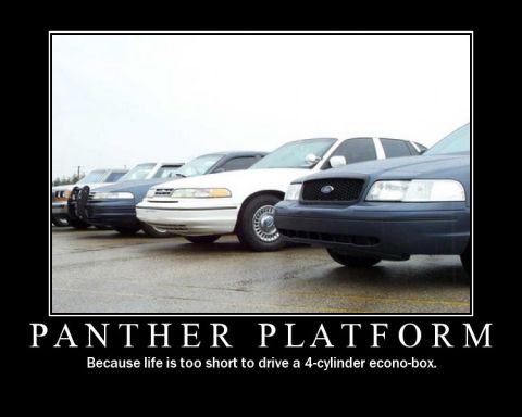 1998 Ford Crown Victoria - Several Ford Crown Victorias are lined up, demonstrating the Panther Platform.
