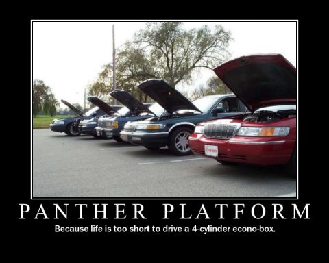 1998 Ford Crown Victoria - Several Panther platform sedans, including a 1998 Ford Crown Victoria, are lined up with their hoods open.