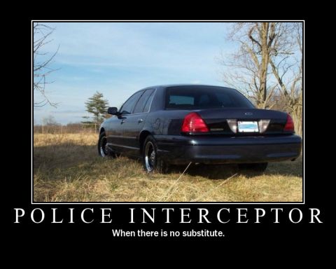 1998 Ford Crown Victoria - A 1998 Ford Crown Victoria Police Interceptor sits in a grassy field under a blue sky.