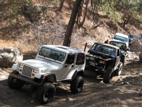 1981 Ford Bronco - A line of off-road vehicles navigates a challenging dirt path through a wooded area.