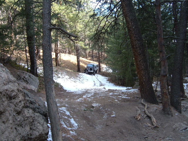 Light-colored 4x4 climbing a snowy dirt two-track trail through pine forest